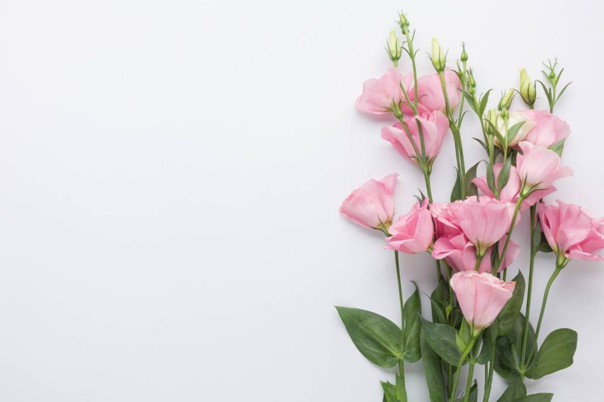 Cum pot florile sa îți îmbunătățeasca viața