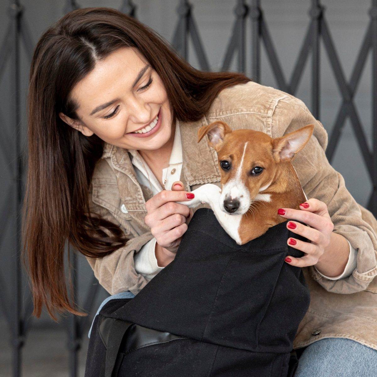 Cum Asiguri Bunăstarea Animalului Tău de Companie: Îngrijire și Iubire Necondiționată