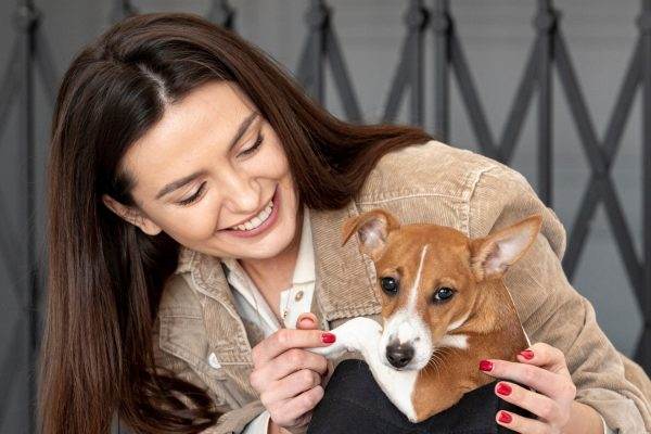 Cum Asiguri Bunăstarea Animalului Tău de Companie: Îngrijire și Iubire Necondiționată